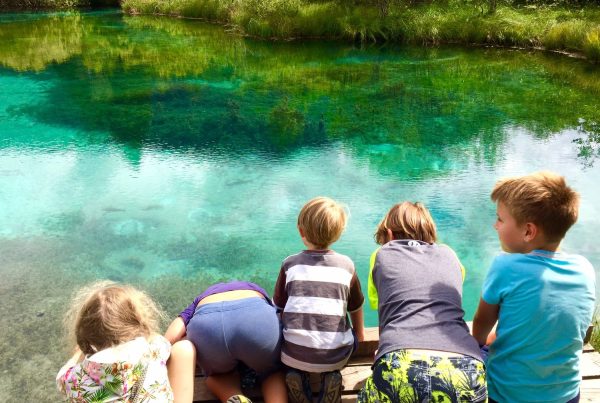 slow down in slovenia blog