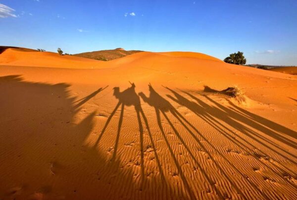 travel to morocco desert camel ride shadows