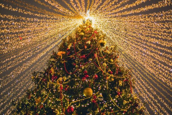 Day 12: 12 Days of Christmas tree with lights