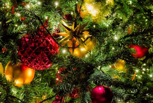 Day 9: 12 Days of Christmas japan tree decorations
