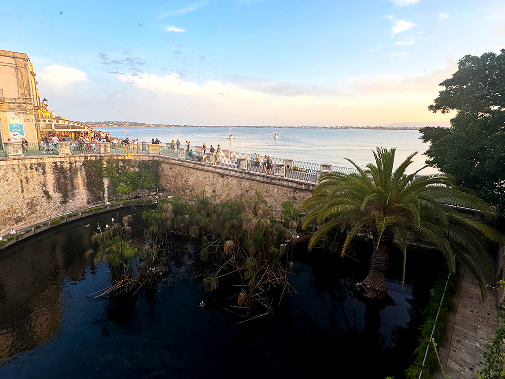 fountain of arethusa ortigia sicily