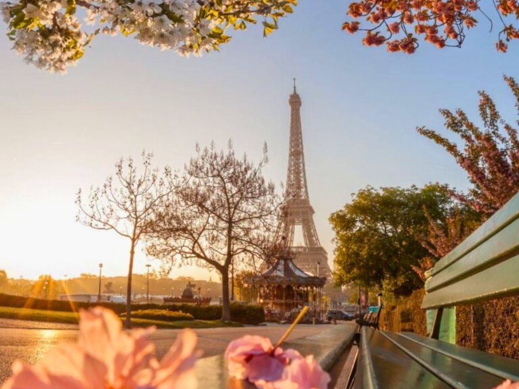 bench on the champs des mars in the spring with view of eiffel tower behind