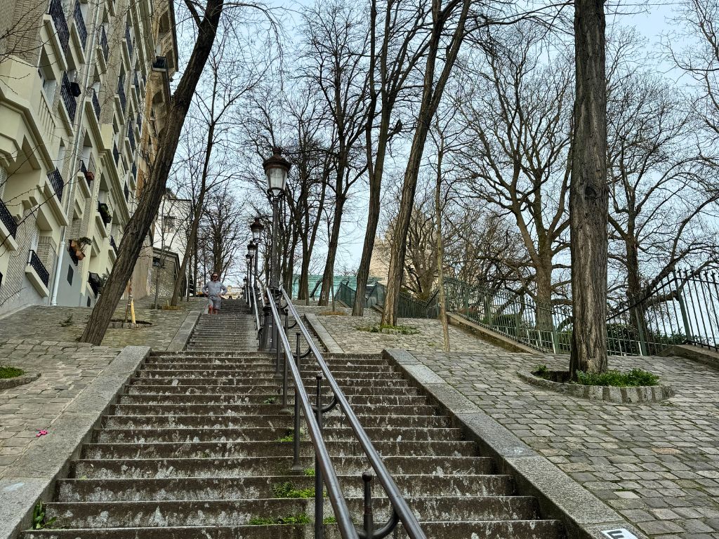 steps of rue foyatier in paris