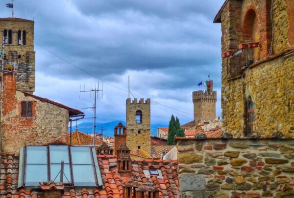 view of rooftops and towers in arezzo